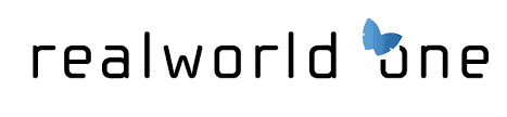 Top VR/AR Development Companies in 2024 9 realworld one