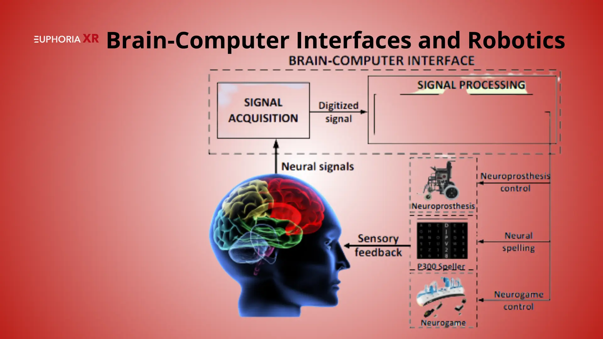 Meta AI: Shaping the Future of Artificial Intelligence and Innovation 2 Brain-Computer Interfaces and Robotics - Euphoria XR