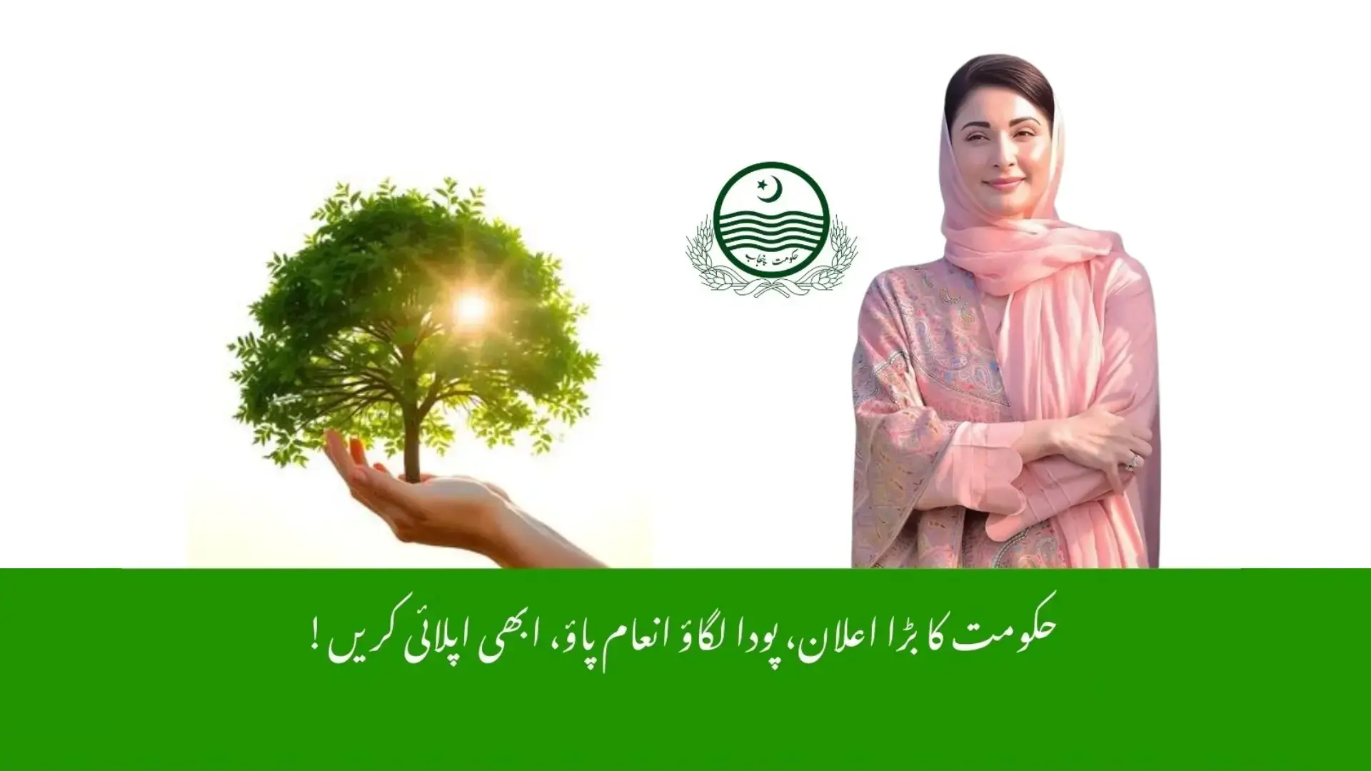 Cm punjab maryam nawaz green credit program - gharhub